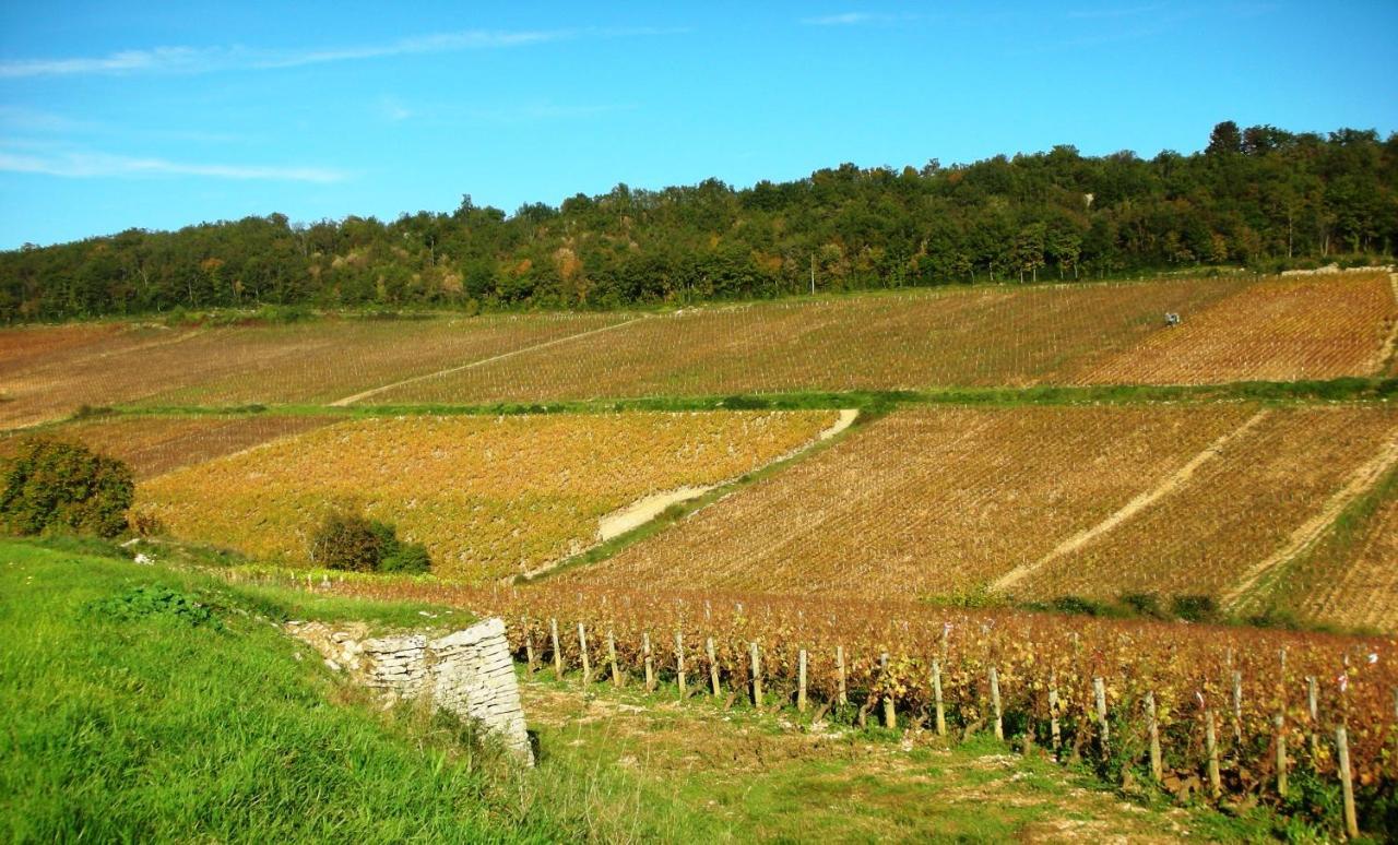 Domaine De La Corgette Bed & Breakfast Saint-Romain  Bagian luar foto